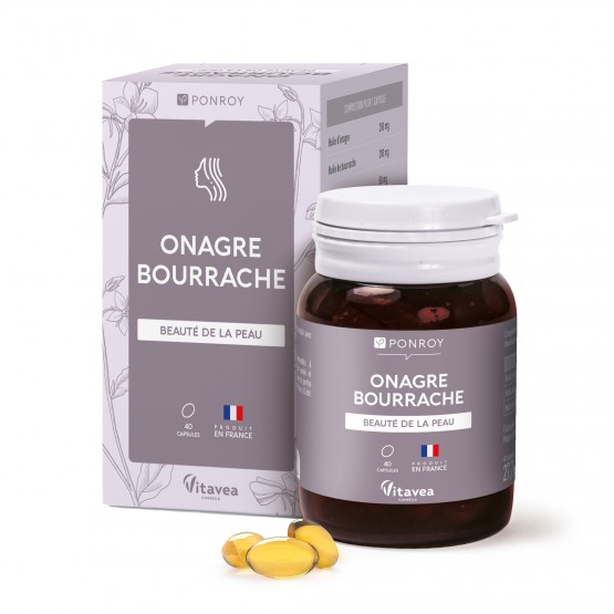 Onagre Bourrache